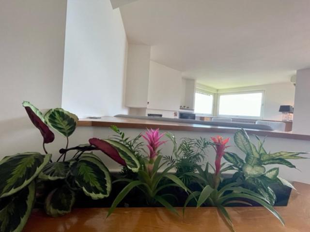 Casa Caponetti Villa คอสตา โวลปิโน ภายนอก รูปภาพ